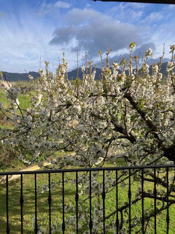 Вілла Mirada A Gredos Канделеда Екстер'єр фото